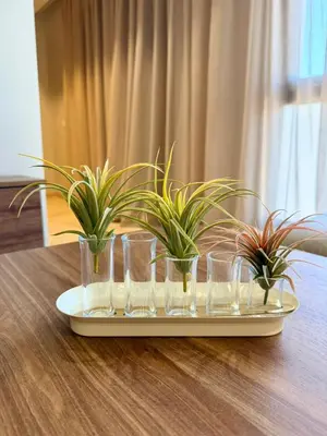a tray with four glasses and plants on a table at Studio Al Mahdi 23 CFC 2 minutes away in Casablanca