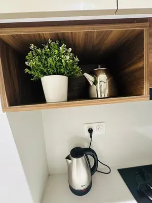 a shelf with two plants and a tea kettle on a counter at Studio New York 1 CFC 2 minutes away in Casablanca