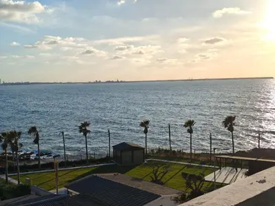 a view of a large body of water with palm trees at Appart Moderne Vue mer latérale & piscine - Plage des Sablettes El Mansouria in O Ben Slimane