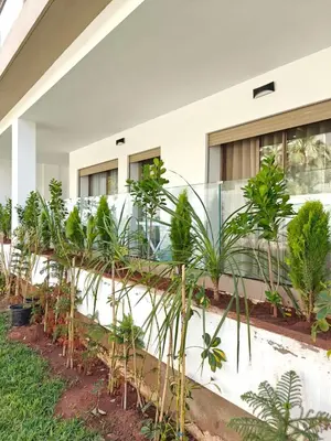 a group of plants in front of a building at Appart Moderne Vue mer latérale & piscine - Plage des Sablettes El Mansouria in O Ben Slimane