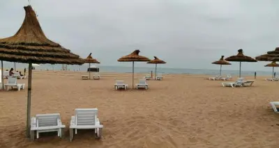 a group of chairs and umbrellas on a beach at La perle de blanca beach in Sidi Rahal