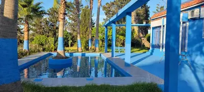 a blue house with a pool with a palm tree at Auberge Abrar in O Ben Slimane