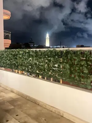 a group of plants on a roof with a clock tower at Appartamento Narjis in Casablanca