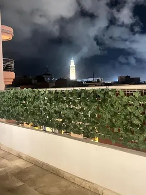 a green hedge on the roof of a building at Appartamento Narjis in Casablanca