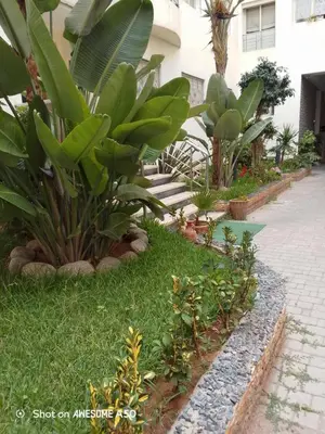 a garden with a bunch of plants in front of a building at Horizon Mogador home in Casablanca