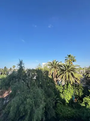 a group of trees and palm trees on a hill at Luxury Studio Oasis in Casablanca