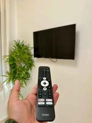 a person holding a remote control in front of a tv at Appartement chic - Princesses in Casablanca