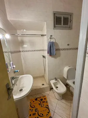 a bathroom with a sink and a toilet and a shower at Dar Raciki Elikya in Rabat