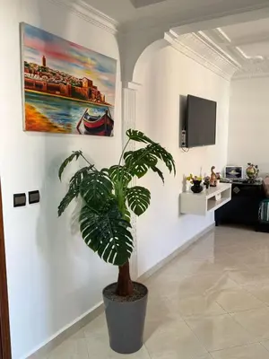 a potted plant in a room with a painting on the wall at Appartement Jamila in Rabat
