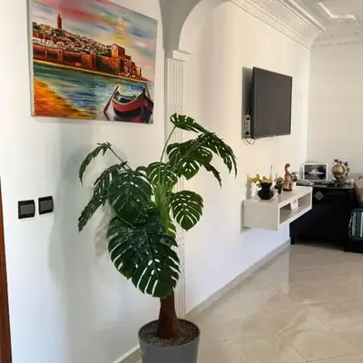 Appartement Jamila