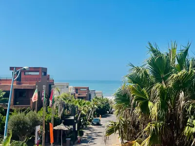 a street with palm trees and the beach at Magnifique studio cosy et lumineux avec vue sur mer in Tamaris