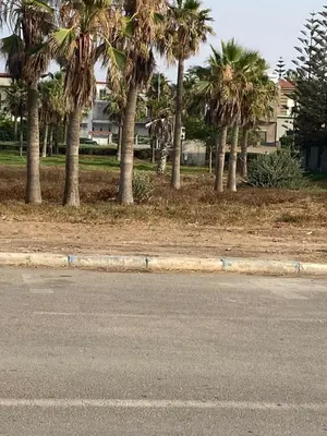 a street with palm trees on the side of the road at Relaxing Stay 3 Pools & Beach in Sidi Rahal