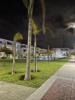 a group of palm trees in a park at night at Beautiful apartment with pool in Mansouria