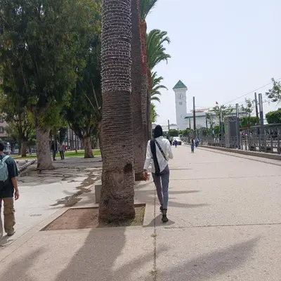 a woman walking past a palm tree on a sidewalk at Residence Les jardins de Belvedere in Casablanca