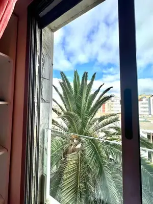 a palm tree is seen through a window at Studio Cosy au Centre de Casablanca, Idéal pour Découvrir la Ville in Casablanca-Port
