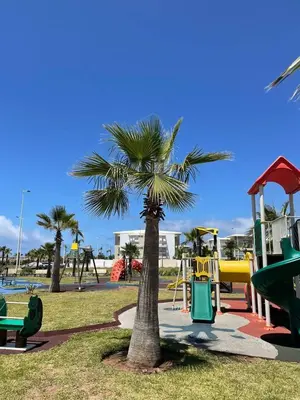 a palm tree in a park with a playground at Casabay Sidi Rahal, à 2mn de la mer en bord de piscine et jardin in Sidi Rahal