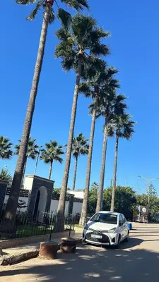 a white car parked in a parking lot with palm trees at Studio bord de mer , La Siesta Beach Resort in Mohammedia
