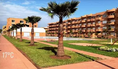 a row of palm trees in front of a building at Appartement de luxe avec piscine à Mansouria in Mansouria