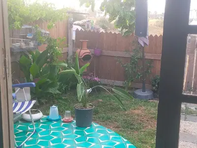a garden with a table with a plant and a fence at Birds House in Casablanca
