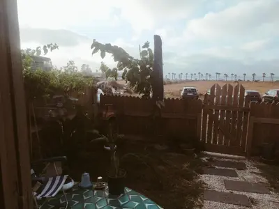 a backyard with a fence and a gate with plants at Birds House in Casablanca