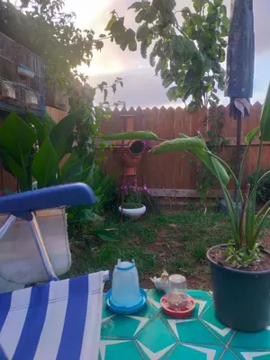 a garden with a table and a chair in a yard at Birds House in Casablanca