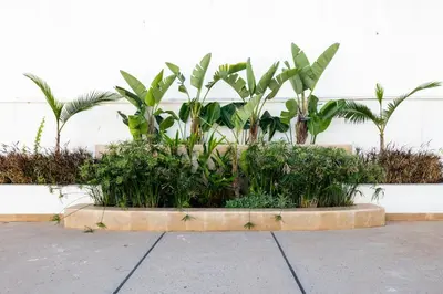 a concrete planter with plants in front of a wall at Chic, bright, 2 BR apartment, panoramic view & Parking in Temara