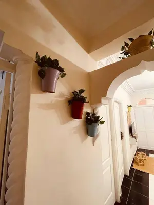 a hallway with three potted plants on the wall at Attractive Studio in Casablanca in Casablanca