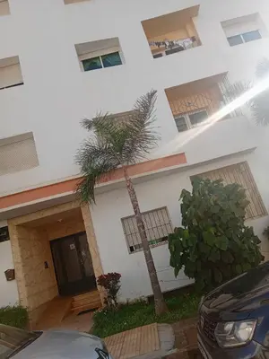 a palm tree in front of a white building at Casa sabir in Temara