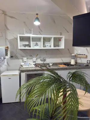 a kitchen with white cabinets and a potted plant at Appartement au centre ville pour les mariés seulement in Rabat