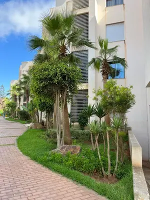 a row of palm trees in front of a building at beach front gardens in Mohammedia