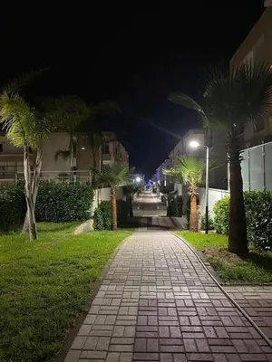 a cobblestone walkway with palm trees at night at Sunset Malaga beach house in Mansouria