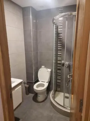 a small bathroom with a toilet and a shower at Appartement Confortable à Tamaris Piscine, Jacuzzi, Proche de la Mer in Tamaris