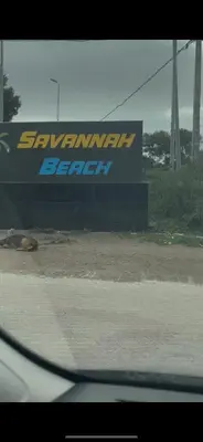 a view of a sign from a car window at Savannah beach in Dar Hamida