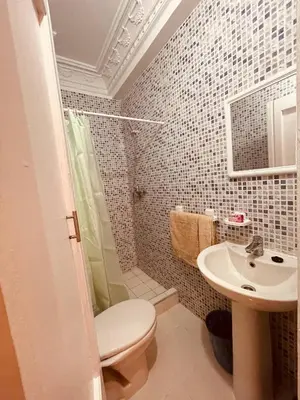 a bathroom with a toilet and a shower and a sink at Pleasant Studio in Casablanca in Casablanca