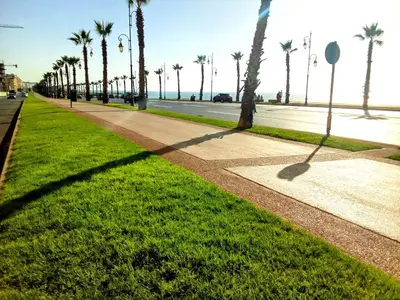 a shadow of a palm tree on a sidewalk at Chez Basma in Rabat