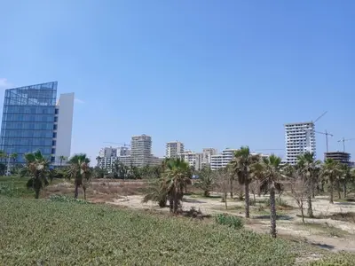 a field with palm trees in front of a city at Superbe duplex avec vue mer in Aïn Harrouda