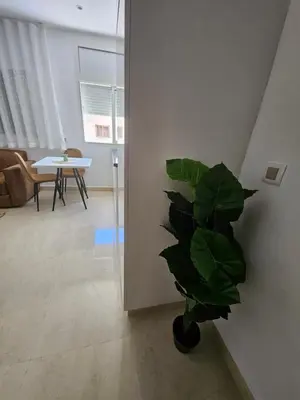 a green plant in a room with a table at Apartamento Bonito in Rabat