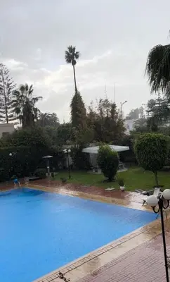 a large blue swimming pool with a palm tree in the background at Beach palace 1 between sea pool and city center in Mohammedia