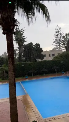 a large blue swimming pool with a palm tree at Beach palace 1 between sea pool and city center in Mohammedia
