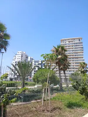 a fence with palm trees and buildings in the background at Duplex Luxe 3 Chambres Vue Mer & Piscine à Zenata Eco City in Aïn Harrouda