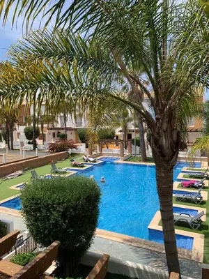 a swimming pool with a palm tree and lounge chairs at Villa oasis sidi rahal in Casablanca