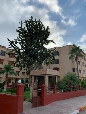 a tree is in front of a building at RESIDENCE PLAGE MANESMANe in Mohammedia