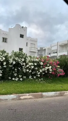 a building with pink and white flowers in front of it at Appartement à Ritaj Beach in Casablanca