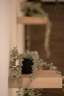 a plant in a pot sitting on a window sill at Le yacht palace beachfront residence 2 BR 2 BA in Casablanca