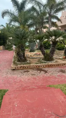 a courtyard with palm trees and a fountain at Rayan beach Residence avec picine a tamaris in Tamaris