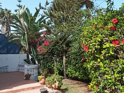 a garden with flowers and plants and a bench at Riad JOUHARA in Skhirat