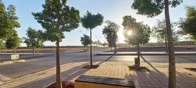 a street with trees on the side of a road at Budget-Friendly Apartment Near AirPort in Nouaseur