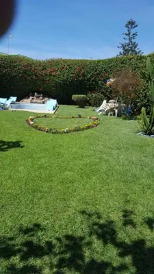 a garden with a circle of flowers in the grass at شاطئ مونيكا in Mohammedia