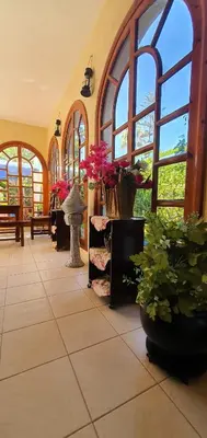 a room with a bunch of potted plants and windows at شاطئ مونيكا in Mohammedia