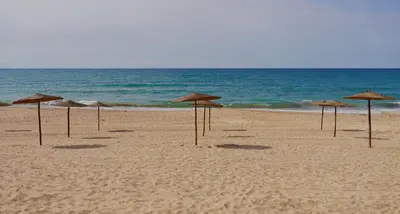 a row of straw umbrellas on the beach at La Pause Dar Bouazza in Tamaris